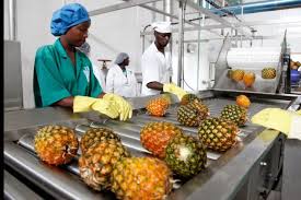 Les intrants locaux pour l’accroissement de la production des agro-industries